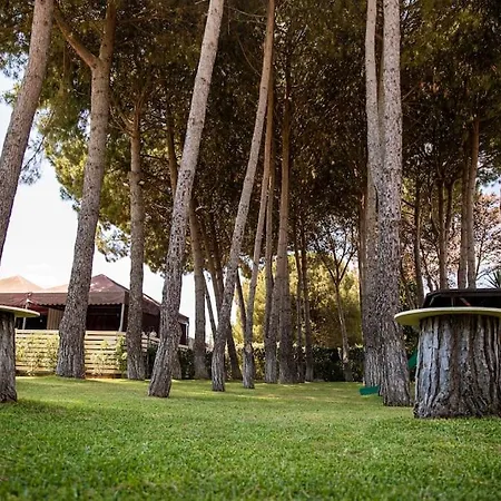 Laoconte Piscina, Jacuzzi E Biliardo * Каникатти